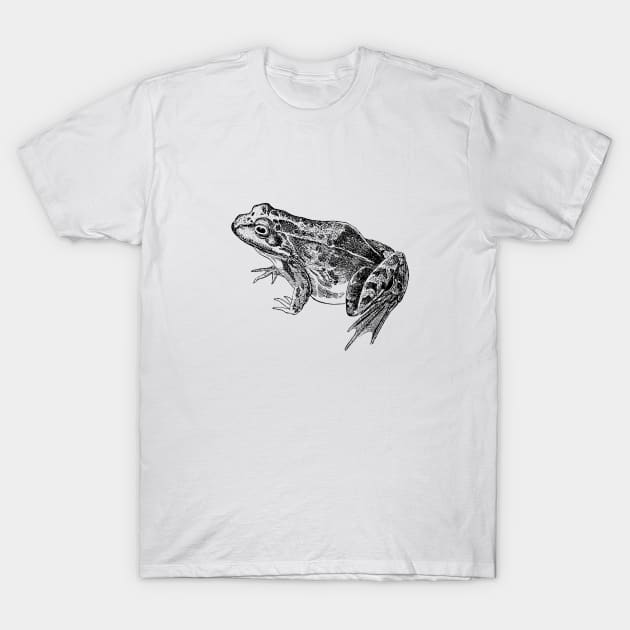 Vintage Frog Illustration T-Shirt by softbluehum